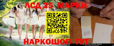 прущие грибы Абакан