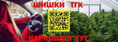прущие грибы Абакан