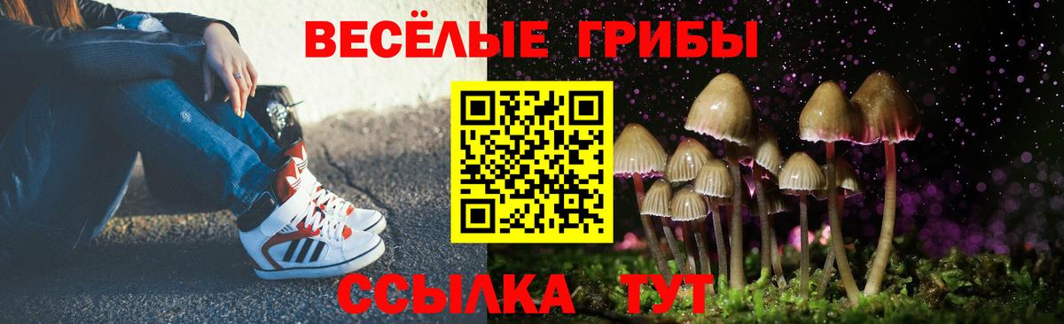 Псилоцибиновые грибы Psilocybe  Вход с VPN  Россия 