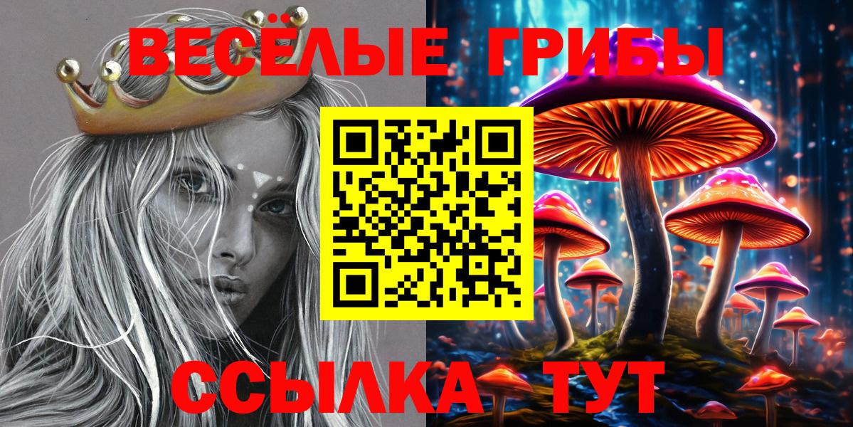 Галлюциногенные грибы Psilocybine cubensis Россия